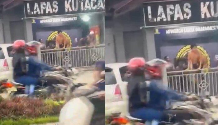 Heboh! Puluhan Napi Kabur Dari Lapas Kelas II B Kutacane