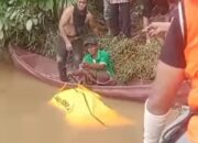 4 Hari Hilang, Budiono Ditemukan Meninggal Dunia Di Sungai Barumun
