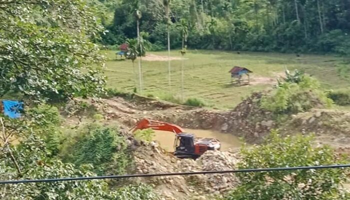 PETI Sipogu Beroperasi Di Pinggir Jalan