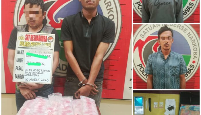 Polres Palas Ringkus Pengedar Dan Pemakai Narkoba Di Barsel