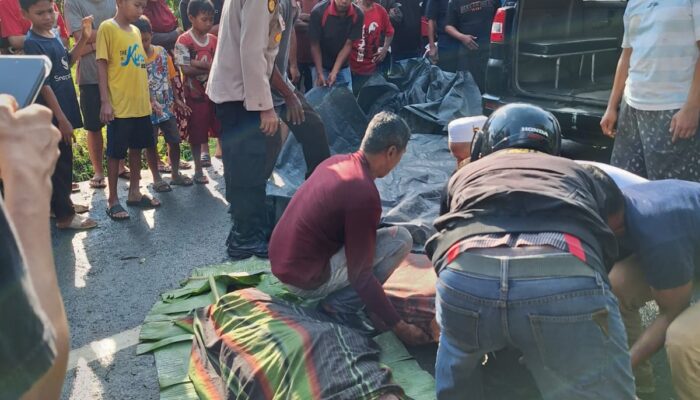 6 Pemancing Ditimpa Pohon, 2 Tewas dan 4 Luka-luka