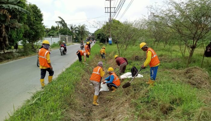 Normalisasi Di Beringin Bemanfaat Untuk Tanggul Penahan Air Pasang Di Pantai Labu