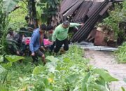 Gempa Taput Renggut 1 Jiwa, Jalinsum Pahae-Sipirok Tertimbun Longsor