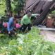 Gempa Taput Renggut 1 Jiwa, Jalinsum Pahae-Sipirok Tertimbun Longsor