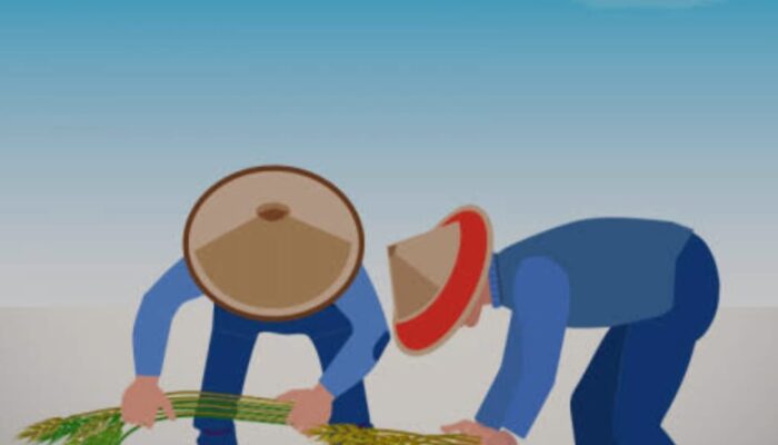 Psikologi Swasembada: Tantangan Mental Petani