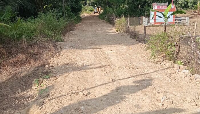 NGO Sumatera Forest: Pembukaan Lahan Sikirang Ramah Lingkungan