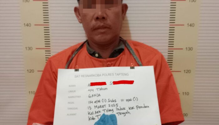 Tim Opsnal Sat Resnarkoba Polres Tapteng Amankan Pria Pengedar Ganja