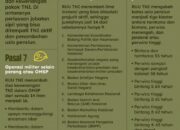 RUU TNI Resmi Jadi Undang-undang