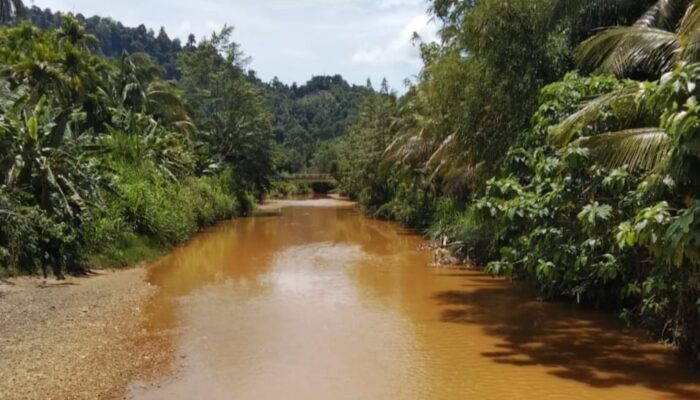Diduga Dampak Aktivitas Tambang, Air Sungai Menggamat Menguning