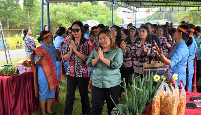 Ketua TP PKK Humbahas Supervisi Desa Percontohan