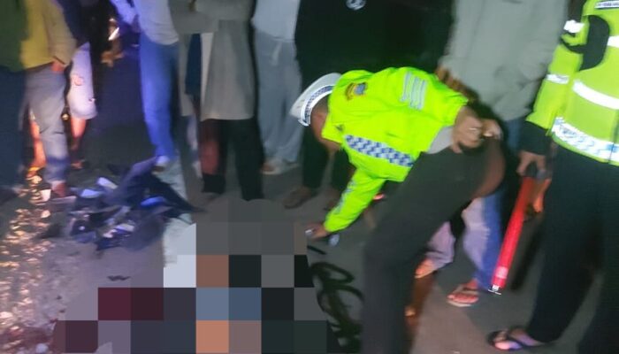 Hantam Truk Logging, Pemuda Meregang Nyawa