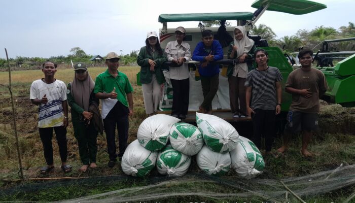 Brigade Pangan Tapteng Lakukan Panen Perdana