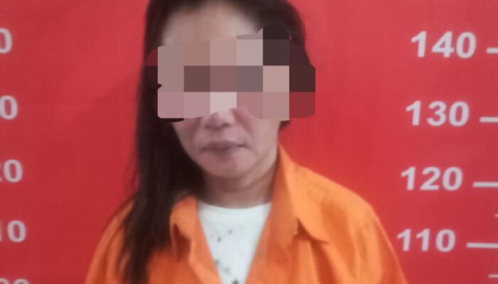 Modus Survei Alpukat, Wanita Paruh Baya Embat Handphone