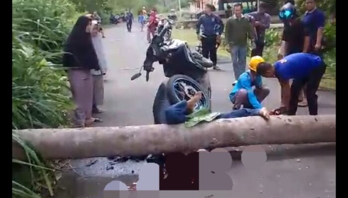 Akibat Angin Kencang Seorang Warga Simeulue Tewas Tertimpa Batang Kelapa