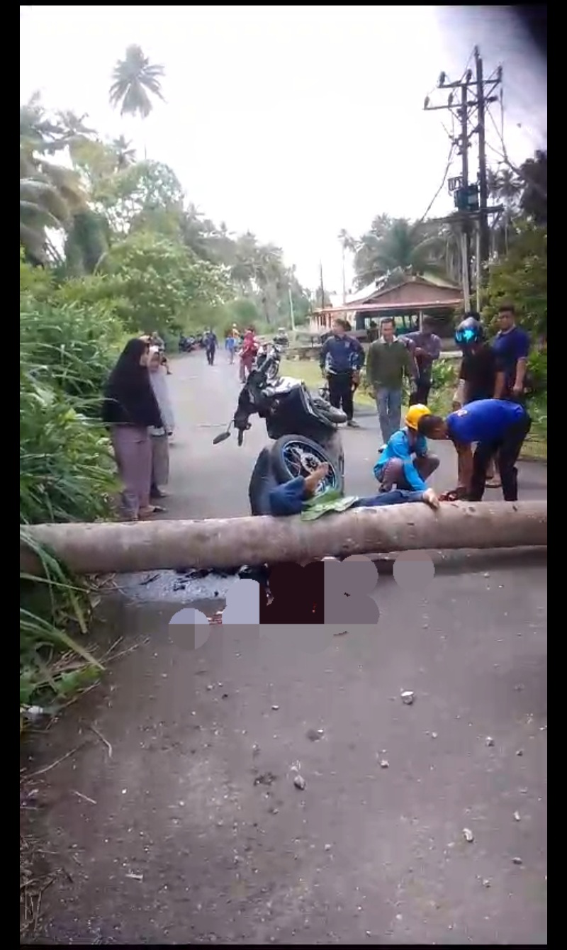 Akibat Angin Kencang Seorang Warga Simeulue Tewas Tertimpa Batang Kelapa Warga yang tertimpa pohon tumbang di lintasan Batu Ralang, Sabtu (8/3) sore. Waspada/Ist