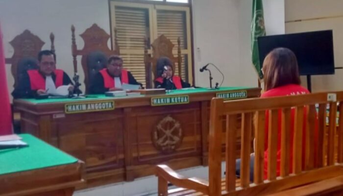 Ibu Aniaya Anak Divonis 8 Bulan Penjara