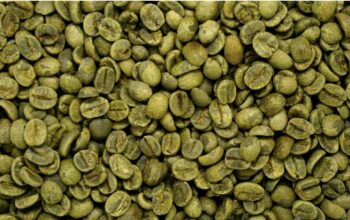 Dinilai Lebih Sehat, Green Coffee Cocok Temani Perjalanan Mudik
