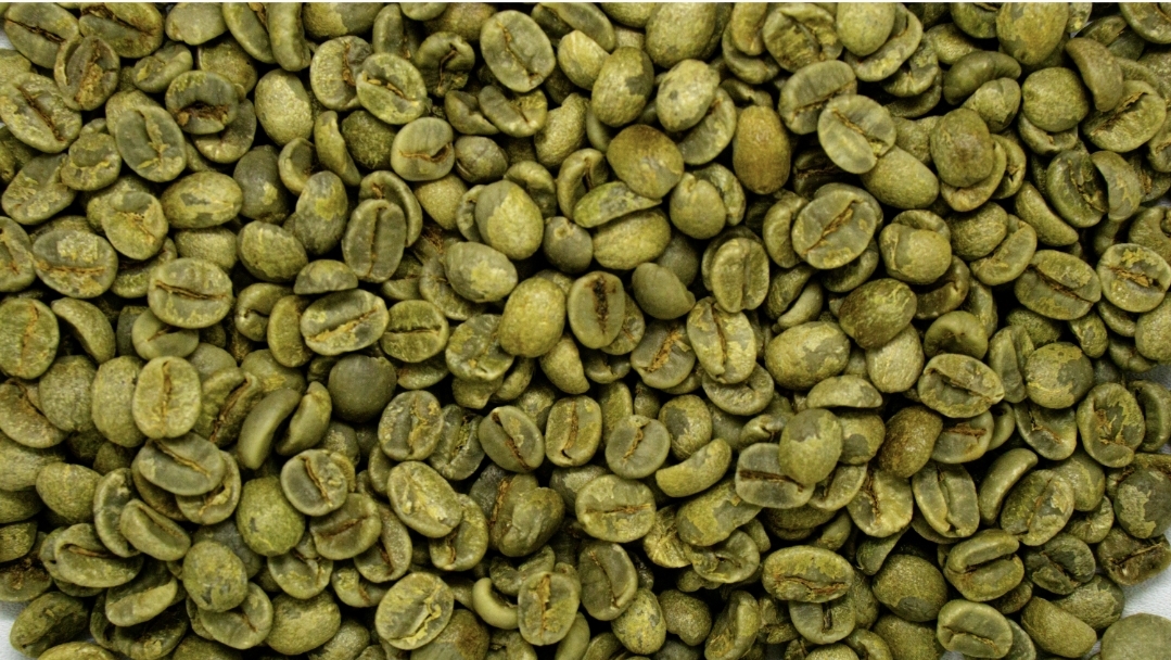 Dinilai Lebih Sehat, Green Coffee Cocok Temani Perjalanan Mudik