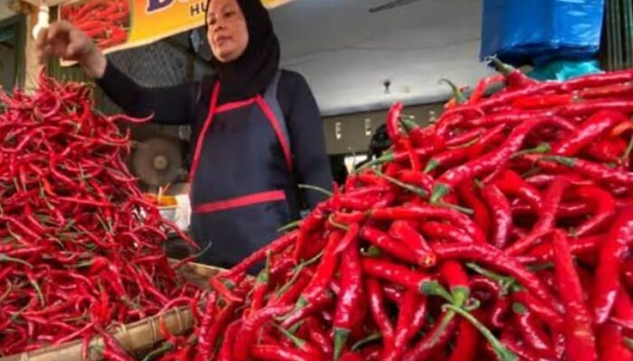 Harga Cabai Merah Lebih Mahal Dibandingkan Daging Sapi