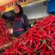 Harga Cabai Merah Lebih Mahal Dibandingkan Daging Sapi