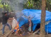 Gerebek 8 Sarang Narkoba, Polrestabes Medan Dan Polsek Jajaran Ringkus 14 Pelaku