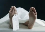 Karyawan PT GPN Meninggal Diduga Terkena Uap Rebusan Sawit