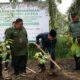 Kanwil Kemenagsu dan FOZ Sumut Jalankan Aksi Tanam 1 Juta Pohon Matoa di Desa Bulu Cina Deli Serdang