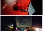 Tabrak Truk Berhenti, Pemotor Tewas