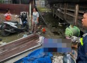 Wakapolres P.Siantar Olah TKP Temuan Mayat Di Kandang Ayam