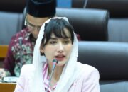 Kebijakan Tarif AS Dan Pelemahan Rupiah Momentum Perkuat Pariwisata Domestik