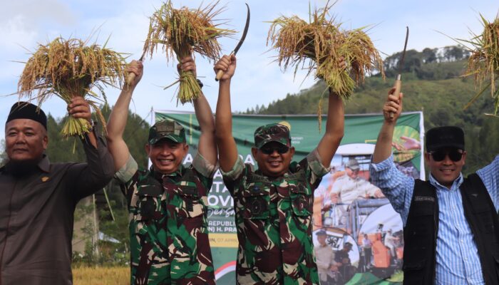 Danrem 011/Lilawangsa Panen Raya Padi Serentak Di Aceh Tengah