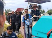 Bupati Agara Panen Raya Padi