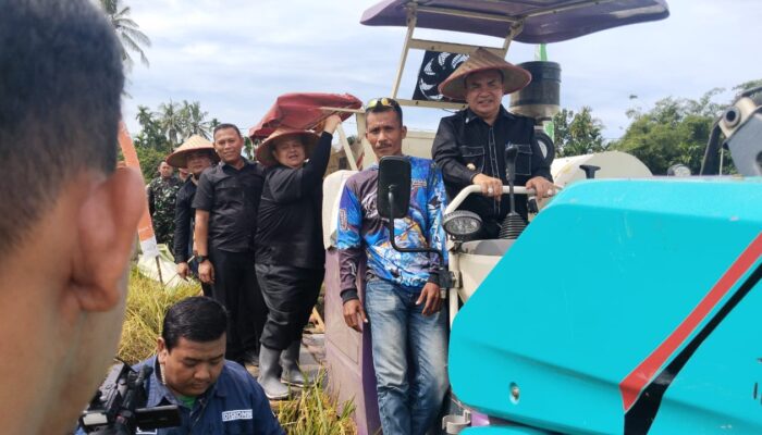 Bupati Agara Panen Raya Padi