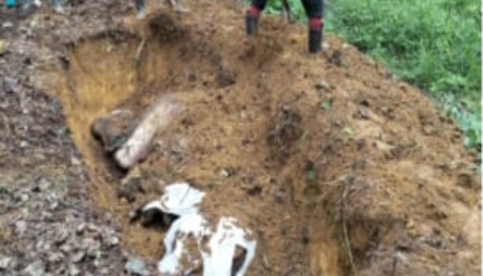 BBTNGL Imbau Warga Dukung Upaya Lestarikan Satwa Dan Habitatnya