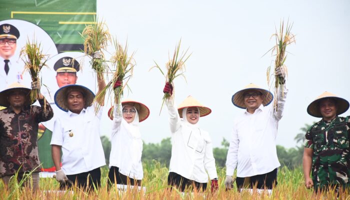 Dukung Harapan Presiden, Asri Ludin Tambunan Ingin Deliserdang Jadi Lumbung Pangan