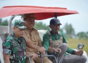 Panen Raya Padi Serentak 14 Provinsi Dilakukan Daring