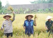 Syah Afandin Yakin, Langkat Menjadi Salah Satu Daerah Penopang Swasembada Pangan Nasional
