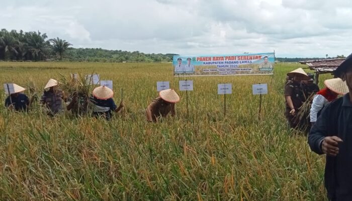 Komitmen Swasembada Di Palas Harus Tercapai