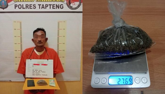 Satresnarkoba Polres Tapteng Ringkus Terduga Pengedar Ganja