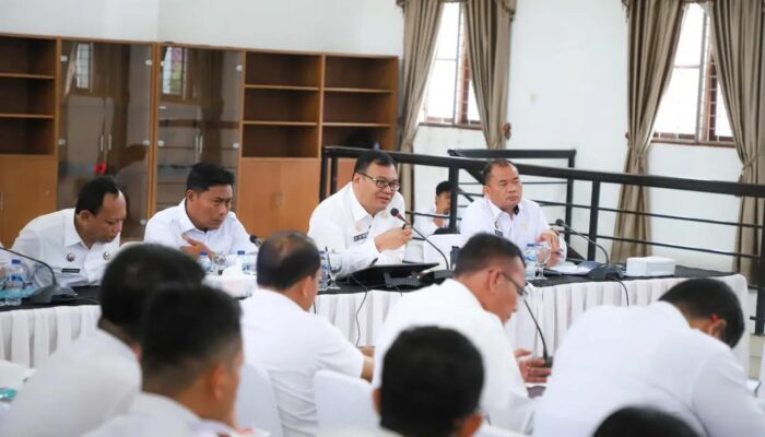 Pemkab Deliserdang PHK Ribuan Tenaga Honorer, Ikuti UU ASN Tahun 2023 dan Aturan MenPAN-RB