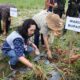 WAKIL Bupati Humbahas, Junita Rebekka Marbun panen bawang merah bersama Poktan Pintubosi di Onanganjang. Waspada/Ist