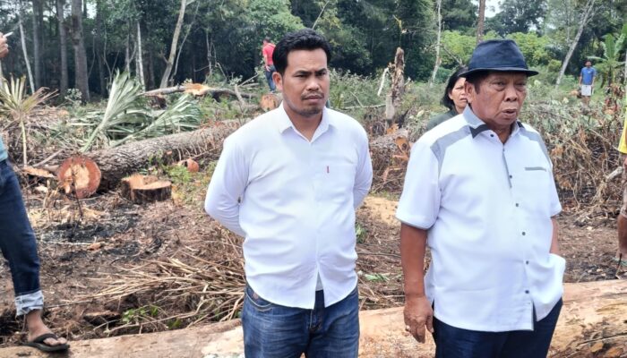 Dr Capt Anton Sihombing: Aksi Brutal Penyerobotan Tanah Di Taput, Kapoldasu Diminta Copot Kapolres