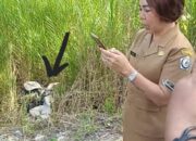 Heboh, Dua Mesin Mobil Tak Bertuan Ditemukan Di Depan Kantor Dinkes Nisel