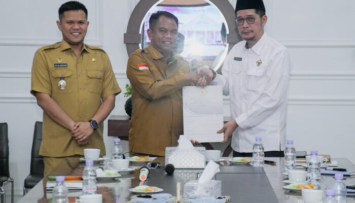 Pemkab Sergai Komitmen Sukseskan Audit LKPD 2024 Secara Profesional