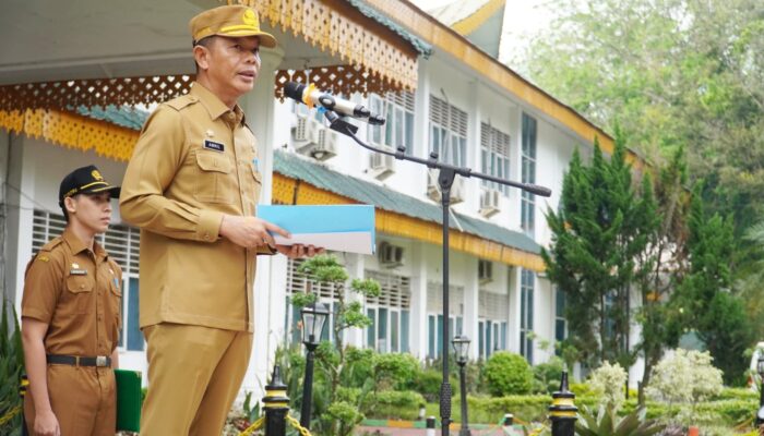 Bupati Langkat: Posyandu Memiliki Peran Strategis Dalam Pembangunan