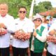 Pemkab Samosir terima bantuan pertanian dari Provinsi Sumatera Utara. Waspada/Ist.
