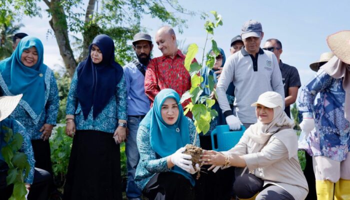 Marlina Muzakir Tanam Murbei, Dorong Kebangkitan Sutera Aceh