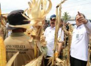 Kalapas Tebingtinggi Apresiasi Kegiatan Panen Perdana Menteri Imigrasi Dan Pemasyarakatan Di Lapas Nusakambangan