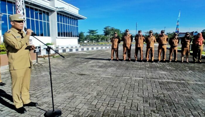 Wabup Simalungun Apresiasi Perolehan Opini WTP Atas LKPD TA 2024