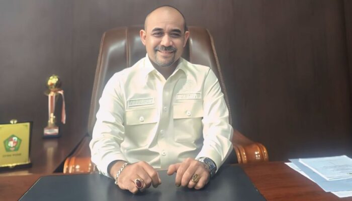 Banyak Sapi Berkeliaran Di Pidie, Ketua DPRK Minta Ditertibkan